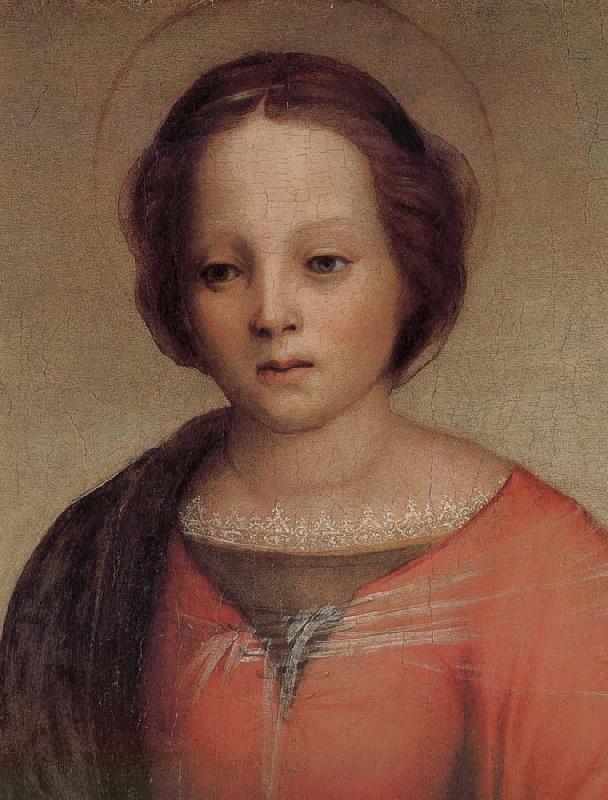 Andrea del Sarto Maria oil painting image